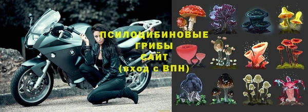 кокс Баксан